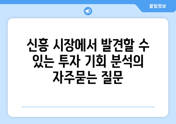 신흥 시장에서 발견할 수 있는 투자 기회 분석